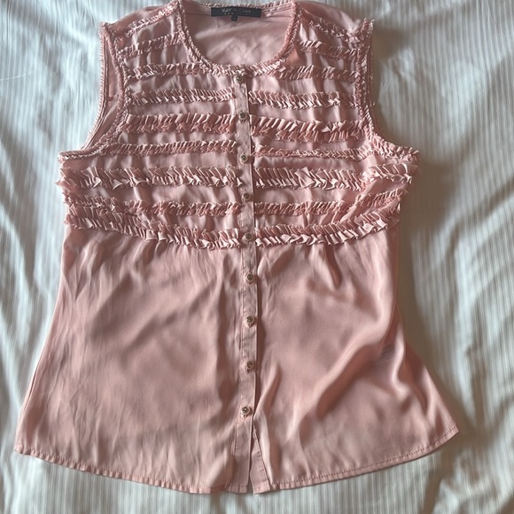Violet & Claire Tops - Velvet & Claire sheer blouse tiny ruffles coquette pink small